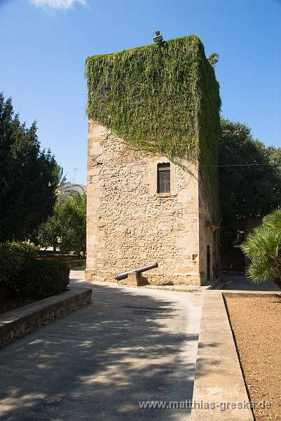 MSG_20090912145924__ND24661 Kopie.jpg - Pollença - Downtown